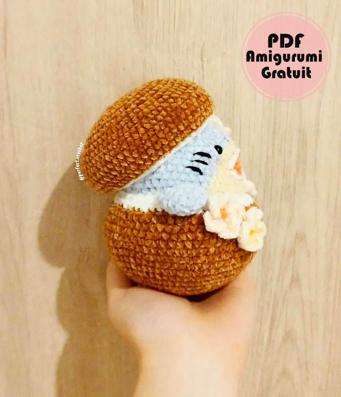 Requin dans la noix de Coco Amigurumi Modèle (3)