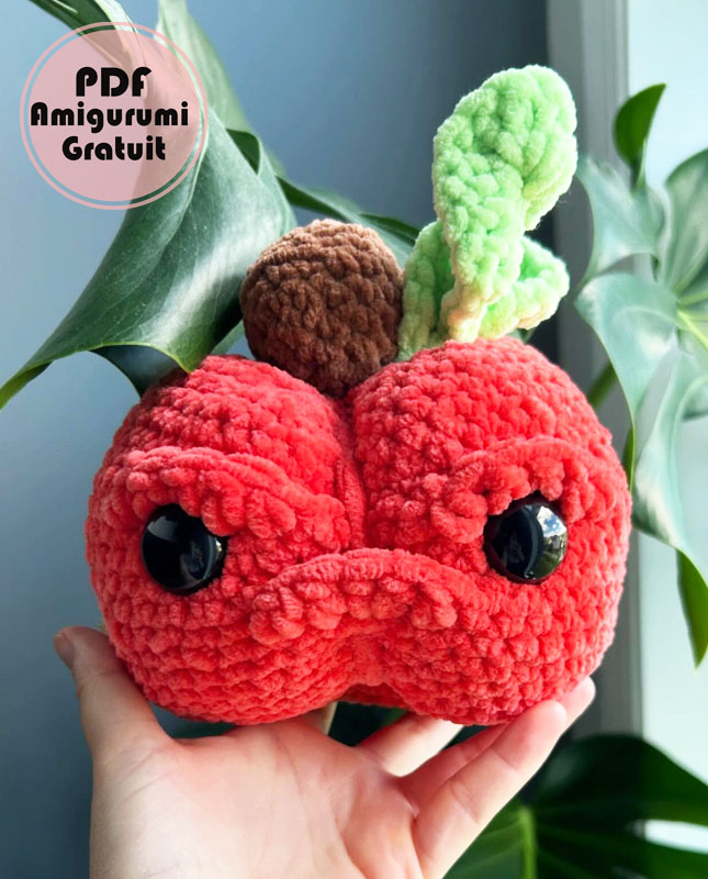 Citrouille Grincheuse en Peluche au Crochet PDF Patron Gratuit (3)