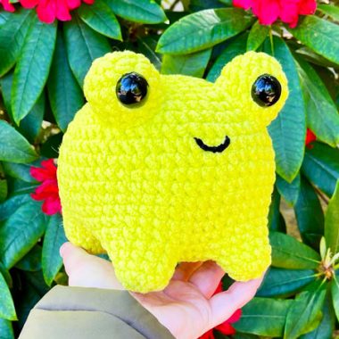 Grenouille Verte Potelée PDF au Crochet Français (1)